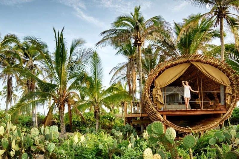 Treehouse-Mexico